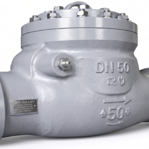 Check Valves