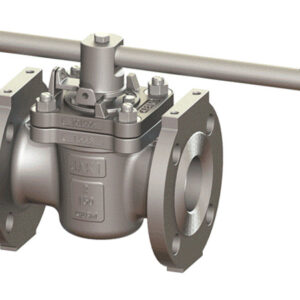 Sleeved Plug Valves